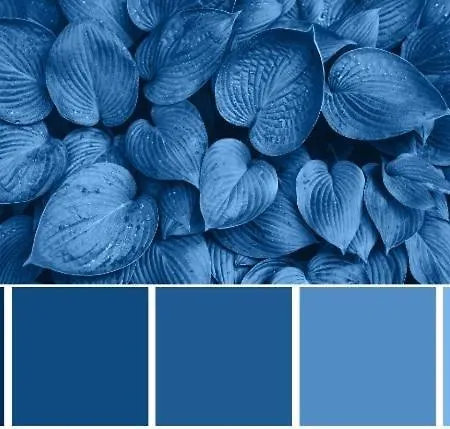 La Parenthese Bleue Vittel